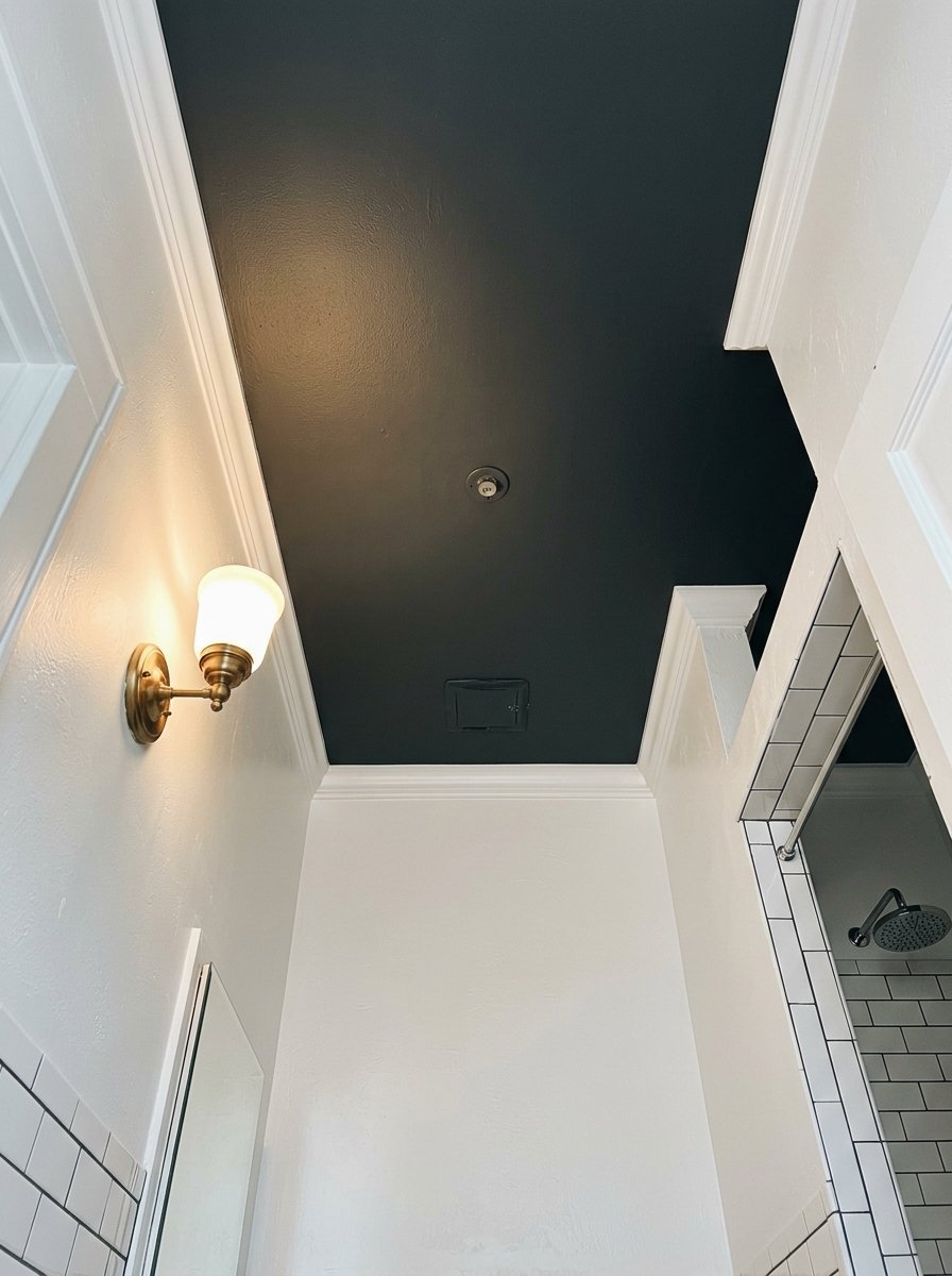 Modern bathroom interior featuring white walls and a bold black painted ceiling with a brass wall sconce.